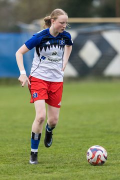 Bild 77 - wBJ Hamburger SV - Eimsbuettler TV : Ergebnis: 4:0